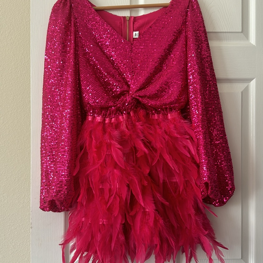 Pink feathers and sequin dress 🩷✨